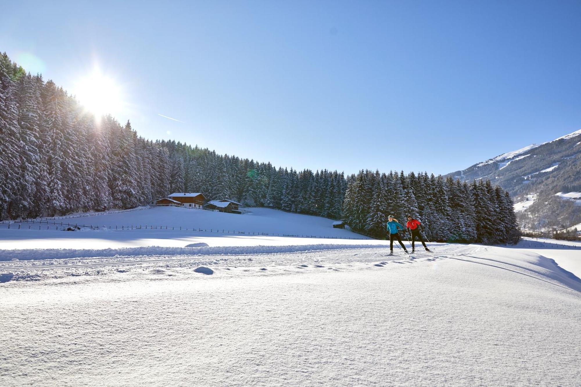Appartements Mary Inklusive Tauern-Spa Kaprun Exteriér fotografie