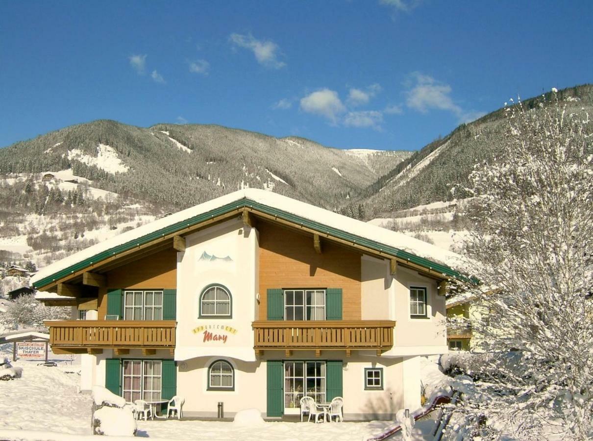 Appartements Mary Inklusive Tauern-Spa Kaprun Exteriér fotografie